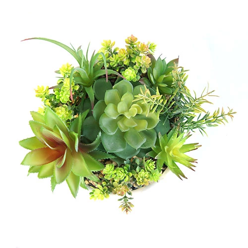 Artificial Assorted Succulent Plant Bonsai, 17 CM
